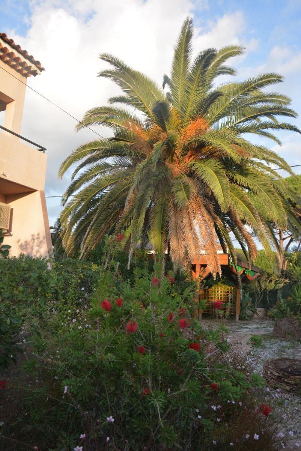 Rose De Sel Apartment Hyeres Exterior photo
